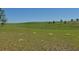 Expansive green pasture with a gentle slope, providing a serene and picturesque rural setting at 2061 Nw 165Th Court Rd, Dunnellon, FL 34432