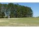Land featuring lush greenery and mature trees, providing privacy and natural beauty for outdoor enjoyment at 2061 Nw 165Th Court Rd, Dunnellon, FL 34432