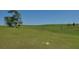 Picturesque land featuring rolling hills, mature trees, and expansive green space, offering a serene natural setting at 2061 Nw 165Th Court Rd, Dunnellon, FL 34432
