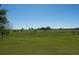 Picturesque sprawling land perfect for building, with a mix of green fields and scattered trees at 2061 Nw 165Th Court Rd, Dunnellon, FL 34432