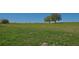 An expansive green field with trees in the background under a clear blue sky at 2061 Nw 165Th Court Rd, Dunnellon, FL 34432