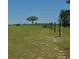 Picturesque view of a sprawling green pasture, perfect for livestock grazing at 2061 Nw 165Th Court Rd, Dunnellon, FL 34432