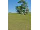 Scenic view of a green pasture dotted with trees, with horses in the distance at 2061 Nw 165Th Court Rd, Dunnellon, FL 34432