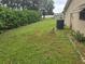 Lush backyard showcasing well-maintained green lawn and side of the home at 10040 Sw 98Th Ave, Ocala, FL 34481