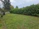 Lush backyard showcasing well-maintained green lawn and large hedges at 10040 Sw 98Th Ave, Ocala, FL 34481