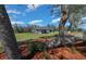 View of the modern home with large backyard, pool, and patio area perfect for outdoor enjoyment at 11707 Se 101St Court Rd, Belleview, FL 34420