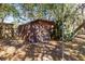 Corrugated metal shed with weathered wooden door and assorted cacti and trees in a wooded yard at 1533 Pine St, Apopka, FL 32703