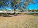 Spacious backyard showing established trees and grassy lawn at 4541 Se 30Th St, Ocala, FL 34480