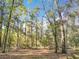 Picture of land with mature trees at 5150 Se 47Th Court Rd, Ocala, FL 34480