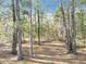 Large wooded lot offers privacy and seclusion at 5150 Se 47Th Court Rd, Ocala, FL 34480