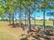 Backyard view showcasing green grass and mature trees adjacent to a golf course at 7527 Sw 97Th Terrace Rd, Ocala, FL 34481