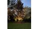 Beautiful backyard with landscape lighting highlighting a large tree and fenced perimeter at 8033 Nw 28Th St, Ocala, FL 34482