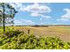 Scenic view of the open landscape in the backyard at 9381 Sw 52Nd Loop, Ocala, FL 34481