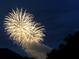 Dramatic view of fireworks lighting up the night sky, adding a touch of excitement to the scenery at 9458 Sw 93Rd Loop, Ocala, FL 34481