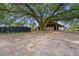 Rustic barn nestled beneath a large oak tree, offering a serene and picturesque setting for horses and farm animals at 13800 Ne Jacksonville Road, Citra, FL 32113