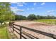 Well-maintained riding arena with sturdy fencing, providing a safe and spacious area for training and riding horses at 13800 Ne Jacksonville Road, Citra, FL 32113