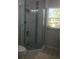 Modern shower features glass doors, a rainfall shower head, and decorative blue tiling at 509 Del Mar Dr, Lady Lake, FL 32159