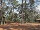 Lush property showcasing tall trees, natural ground cover, and an idyllic environment for nature lovers at 1370 Nw 120Th Ave, Ocala, FL 34482