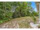 Backyard with plants and tree views at 10954 Sw 83Rd Ct, Ocala, FL 34481