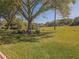 Large backyard features a mature shade tree, an open lawn, and landscaped mulch beds at 13968 Se 96Th Cir, Summerfield, FL 34491