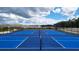 Community tennis courts in a well-maintained setting surrounded by lush greenery at 10044 Se 161St Lane Rd, Summerfield, FL 34491