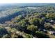 Broad aerial perspective of a lush, tree-filled landscape, revealing scattered homes and a vast green horizon at 2570 Se Highway 42, Summerfield, FL 34491