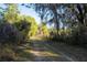 Secluded driveway lined with trees and foliage, leading to the property at 2570 Se Highway 42, Summerfield, FL 34491