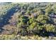 Aerial view highlighting lush green tree tops alongside a neighborhood at 2570 Se Highway 42, Summerfield, FL 34491