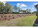 Well-maintained backyard with lush green grass, showcasing a serene and inviting outdoor space at 7665 Sw 96Th Avenue Rd, Ocala, FL 34481