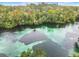 Stunning aerial view of a clear spring-fed river surrounded by lush green trees at 8869 Sw 194Th Ct, Dunnellon, FL 34432
