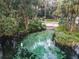 Scenic view of a natural spring with clear water and lush surroundings at 8869 Sw 194Th Ct, Dunnellon, FL 34432