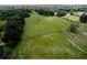 Aerial view of the grassy land showcasing the tree-lined perimeter at 10750 Nw 7Th St, Ocala, FL 34482