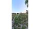 Fenced pastureland with natural beauty, perfect for a peaceful country lifestyle at 10750 Nw 7Th St, Ocala, FL 34482