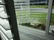 Picture window offering an exterior garden and greenery view at 13780 Sw 111Th Ave, Dunnellon, FL 34432