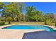 Backyard pool surrounded by lush greenery and landscaping under a bright blue sky at 2881 Se 41St Pl, Ocala, FL 34480