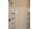 Shower stall featuring shelving units and a shower head at 2995 Se 145Th Pl, Summerfield, FL 34491