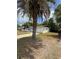 Side angle view of a one-story home with a palm tree and an attached garage at 333 Marion Oaks Dr, Ocala, FL 34473