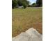 View of the grassy, partially shaded backyard with hints of hardscape at 6725 Nw 14Th Ave, Ocala, FL 34475