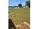 Backyard view featuring grass, scattered pine straw, and partial sunlight at 6725 Nw 14Th Ave, Ocala, FL 34475