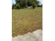 View of the grassy, partially shaded backyard with hints of hardscape at 6725 Nw 14Th Ave, Ocala, FL 34475