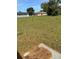 A grassy backyard with partial shade and scattered pine straw on the ground at 6725 Nw 14Th Ave, Ocala, FL 34475