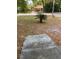 Cozy single story home with charming landscaping including a mature sago palm at 6725 Nw 14Th Ave, Ocala, FL 34475