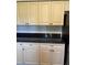 Painted cabinets with dark hardware, dark countertops, and wood grain flooring at 6725 Nw 14Th Ave, Ocala, FL 34475