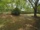 View of the yard, featuring mature trees and a lush green lawn at 10955 Sw 89Th Ave, Ocala, FL 34481