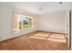 Bright bedroom with a ceiling fan, plush carpet, and a large window at 13109 Se 86Th Ct, Summerfield, FL 34491