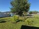 Backyard with space to garden, along with established trees at 137 Juniper Loop, Ocala, FL 34480