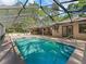 Inviting backyard pool with a screen enclosure and a lush view at 16 Northern Dancer Dr, Ocala, FL 34482