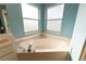 Corner view of the soaking tub under two windows at 16201 Sw 47Th Ter, Ocala, FL 34473
