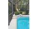Screened-in pool area with a statue of a leaping panther as water feature at 19903 Sw 97Th Ln, Dunnellon, FL 34432