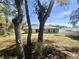 Backyard of the property with some brush and trees at 416 Marion Oaks Crse, Ocala, FL 34473